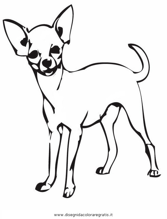 teacup chihuahua coloring pages - photo #2