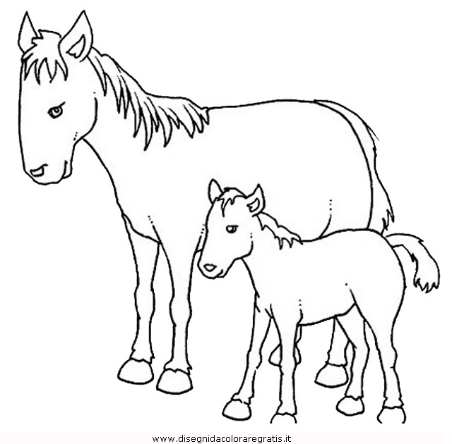 Disegno cavallo 54 animali da colorare for Immagini di cavalli da disegnare