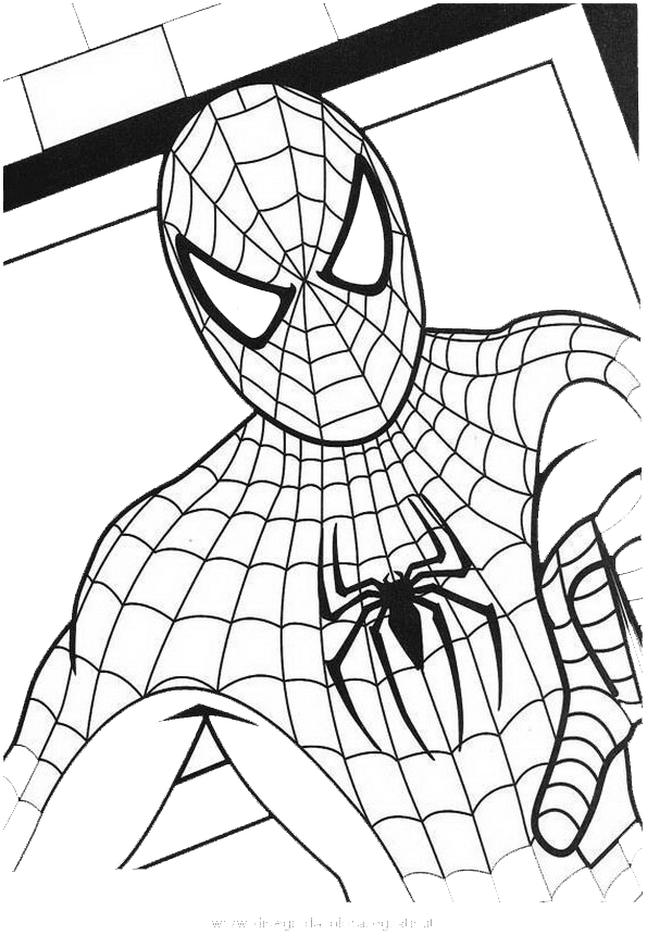 Disegno spiderman 84 personaggio cartone animato da colorare for Disegni di spiderman da colorare e stampare