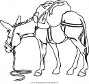 Cavalli disegni da colorare for Immagini di cavalli da disegnare