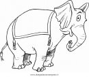 animali/elefanti/elefante_circo.JPG