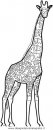animali/giraffe/giraffa_20.JPG