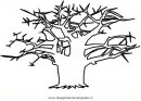 natura/alberi_speciali/baobab_2.JPG