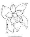natura/fiori/orchidea.JPG