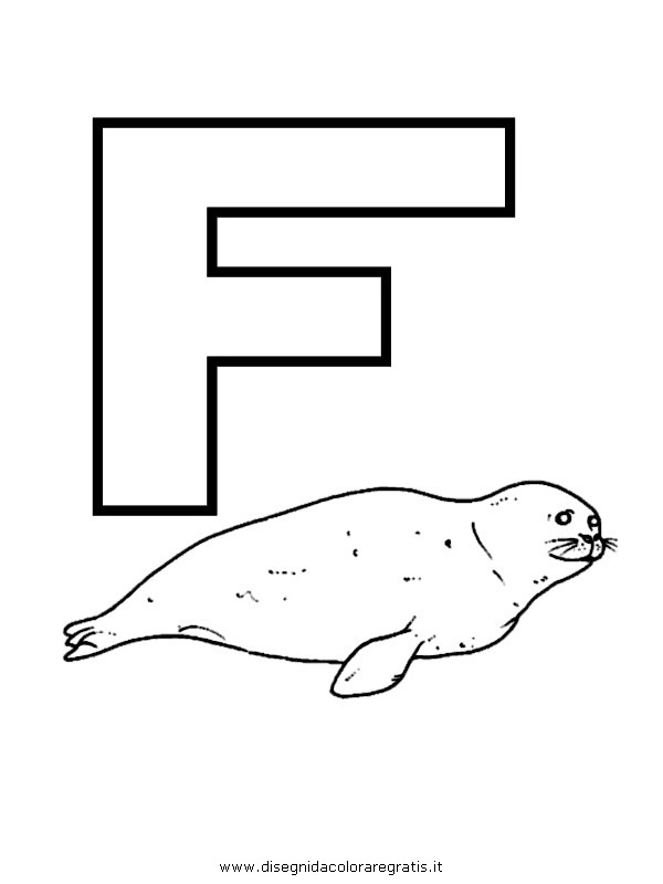 alfabeto/lettere/alfabeto_foca.JPG