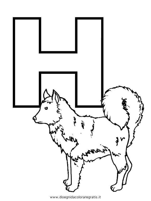 alfabeto/lettere/alfabeto_husky.JPG