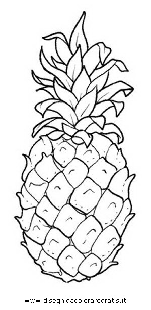 disegno ananas bn