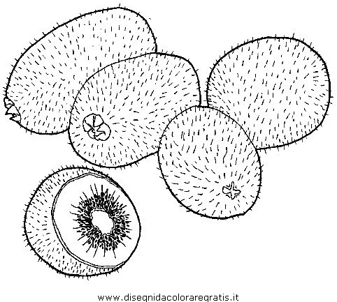 alimenti/frutta/kiwi.JPG