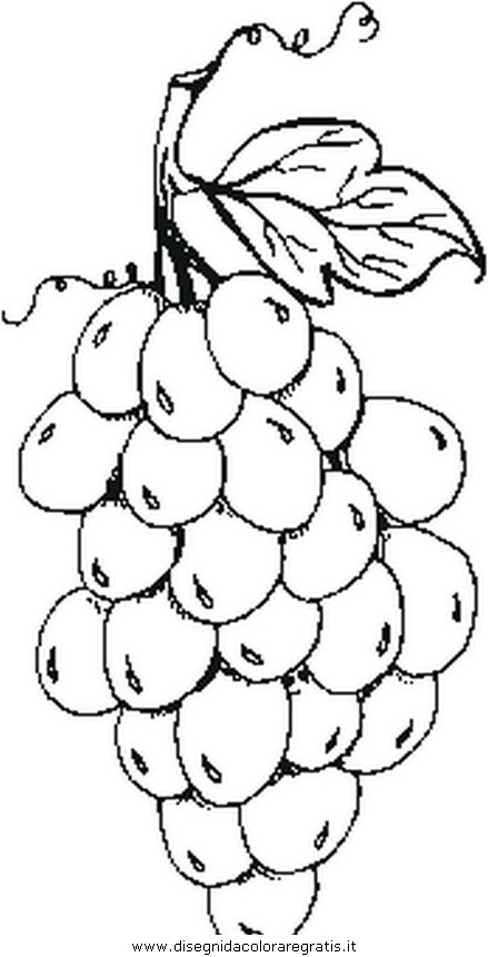 alimenti/fruttainvernale/grapes_uva.JPG