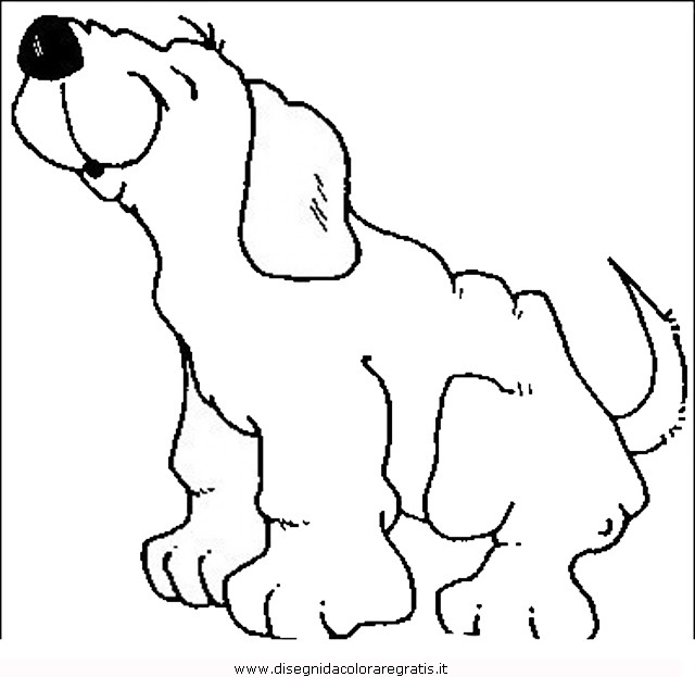 animali/cani/cane_054.JPG