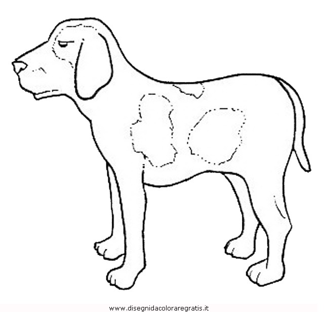 animali/cani/cane_103.JPG