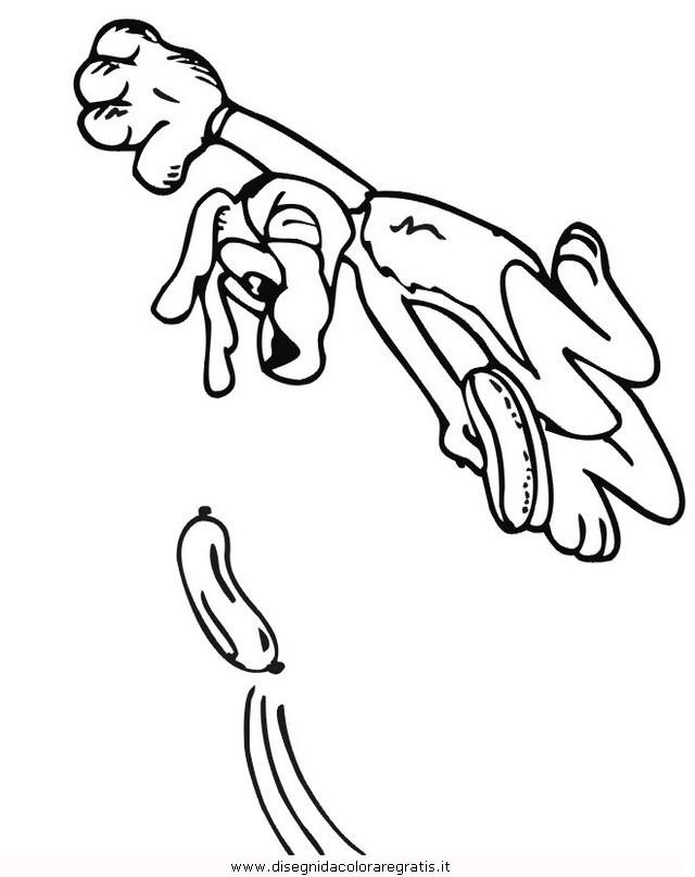 animali/cani/cane_137.JPG