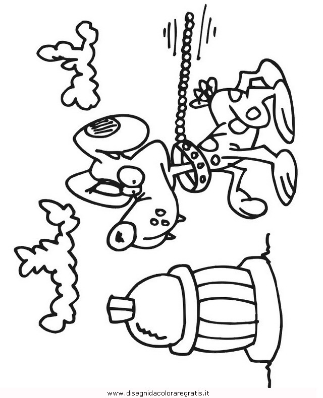 animali/cani/cane_143.JPG