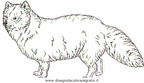 animali/cani/cani_a8.JPG