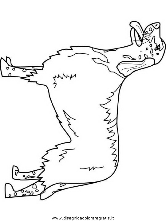 animali/cani/english-setter.JPG