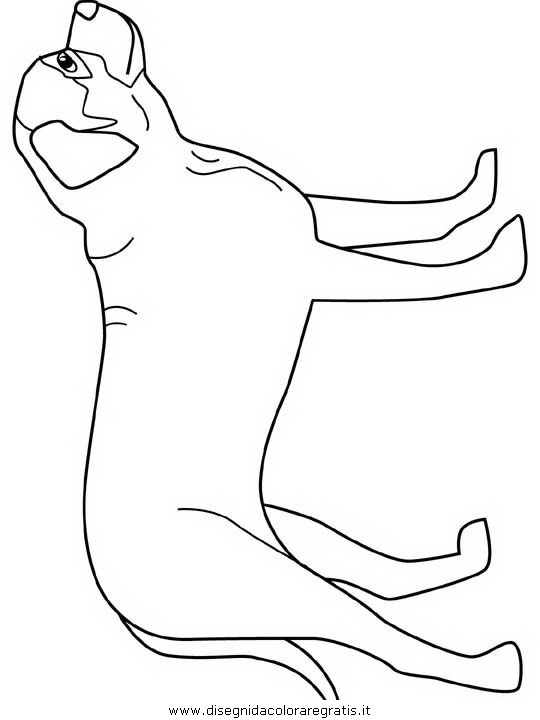 animali/cani/mastiff.JPG