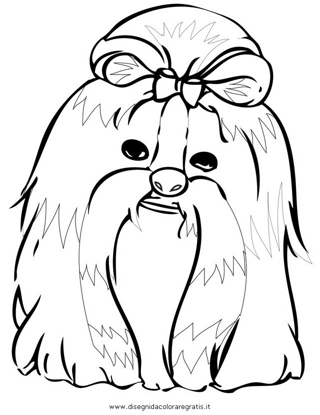 animali/cani/shih_tzu.JPG