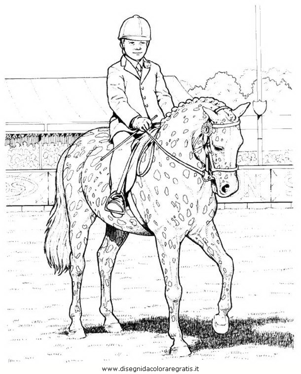 animali/cavalli/cavallo_095.JPG