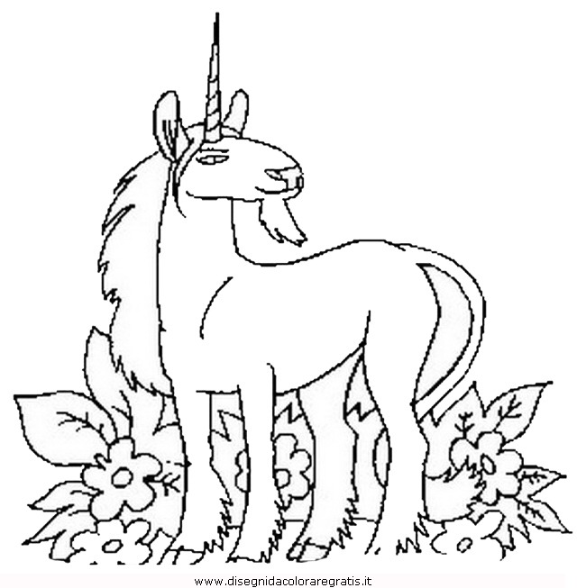 animali/cavalli/cavallo_79.JPG