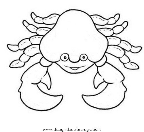 animali/crostacei/granchio_granchi_00.JPG