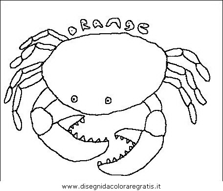 animali/crostacei/pesci_038.JPG