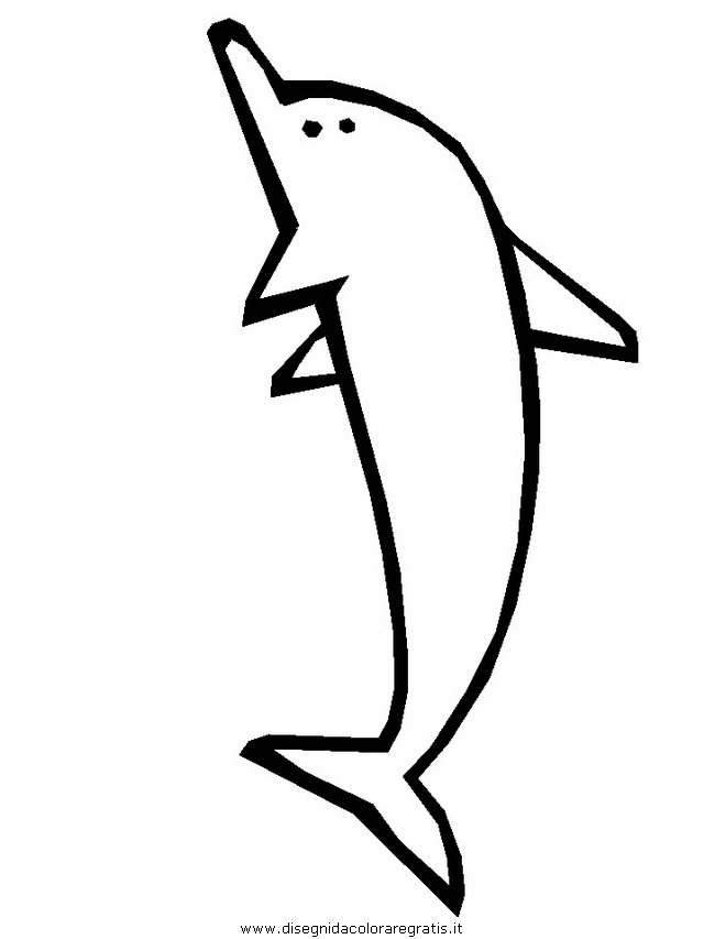 animali/delfini/delfino_03.JPG