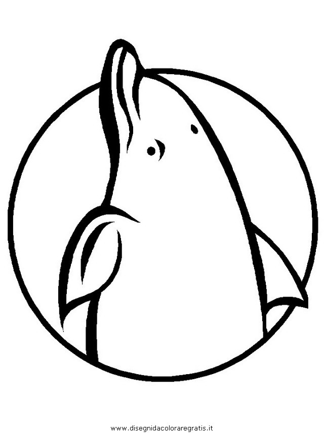 animali/delfini/delfino_06.JPG