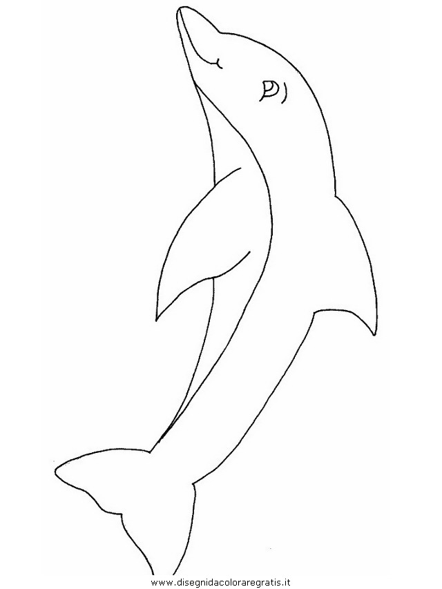 animali/delfini/delfino_10.JPG