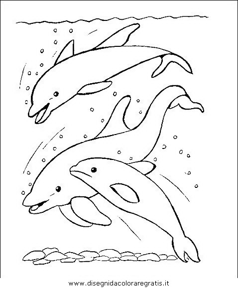 animali/delfini/delfino_delfini_30.JPG