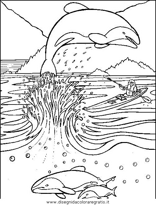 animali/delfini/delfino_delfini_31.JPG
