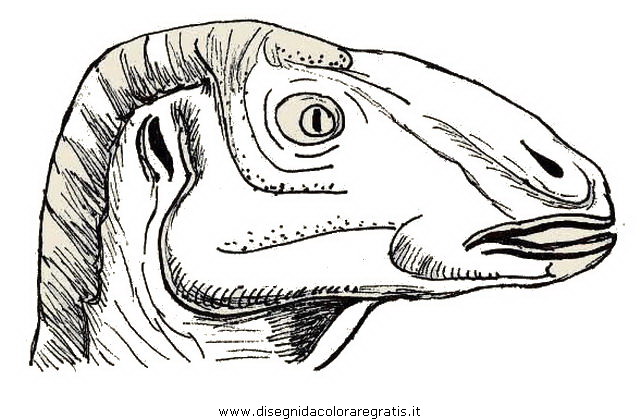 animali/dinosauri/anatosauro.JPG