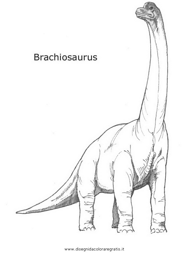 animali/dinosauri/brachiosauro2.JPG