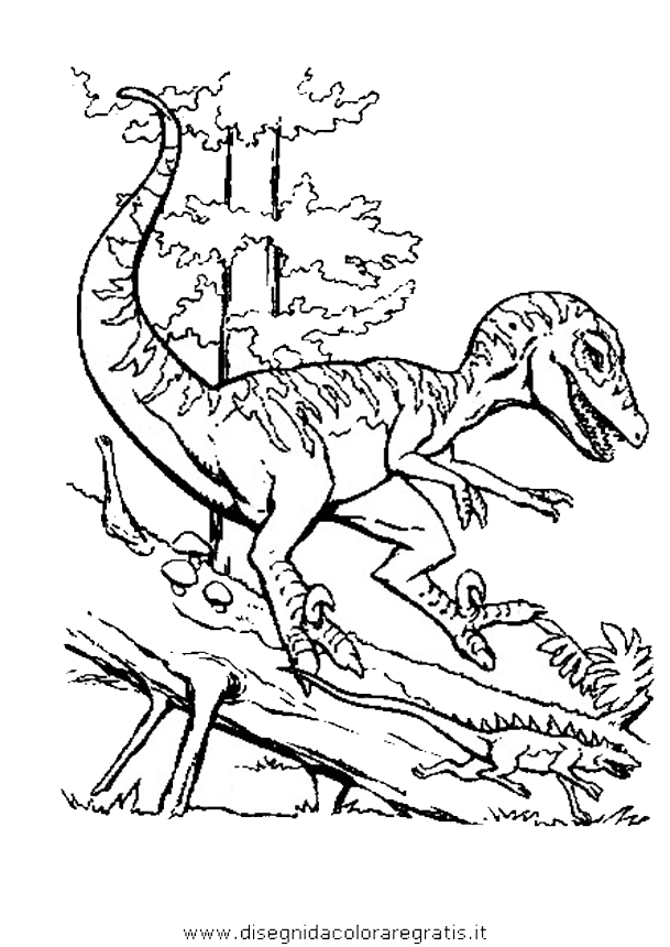 animali/dinosauri/dinosauro_176.JPG