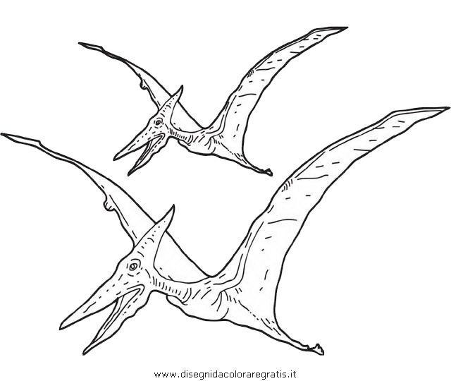 animali/dinosauri/dinosauro_189.JPG
