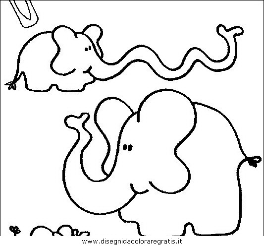 animali/elefanti/elefante_20.JPG