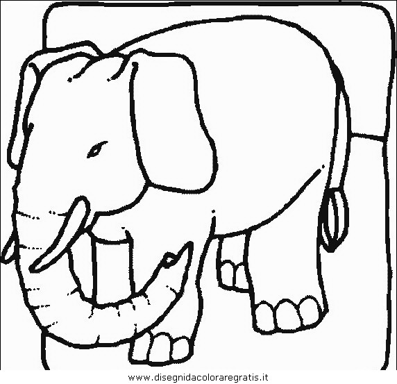 animali/elefanti/elefante_22.JPG
