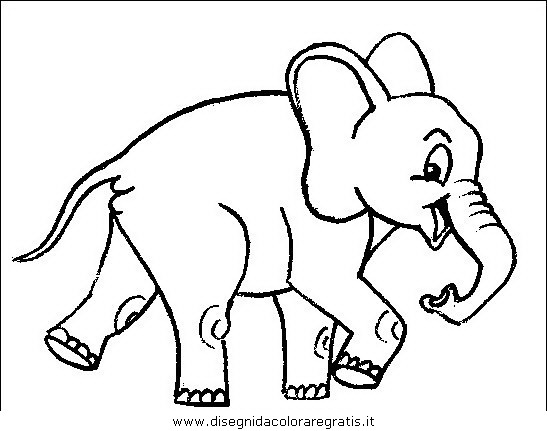 animali/elefanti/elefante_31.JPG