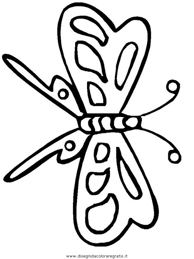 animali/farfalle/farfalla_08.JPG