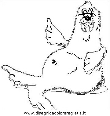 animali/foche/foca_foche_16.JPG