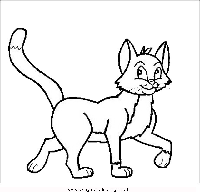 animali/gatti/gatto_014.JPG