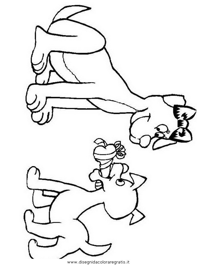 animali/gatti/gatto_043.JPG