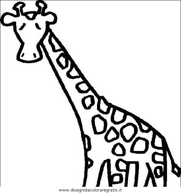 animali/giraffe/giraffa_07.JPG