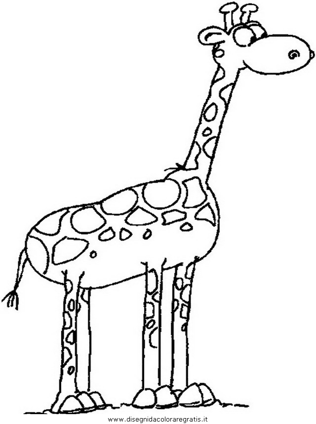 Disegno Giraffa 10 Animali Da Colorare