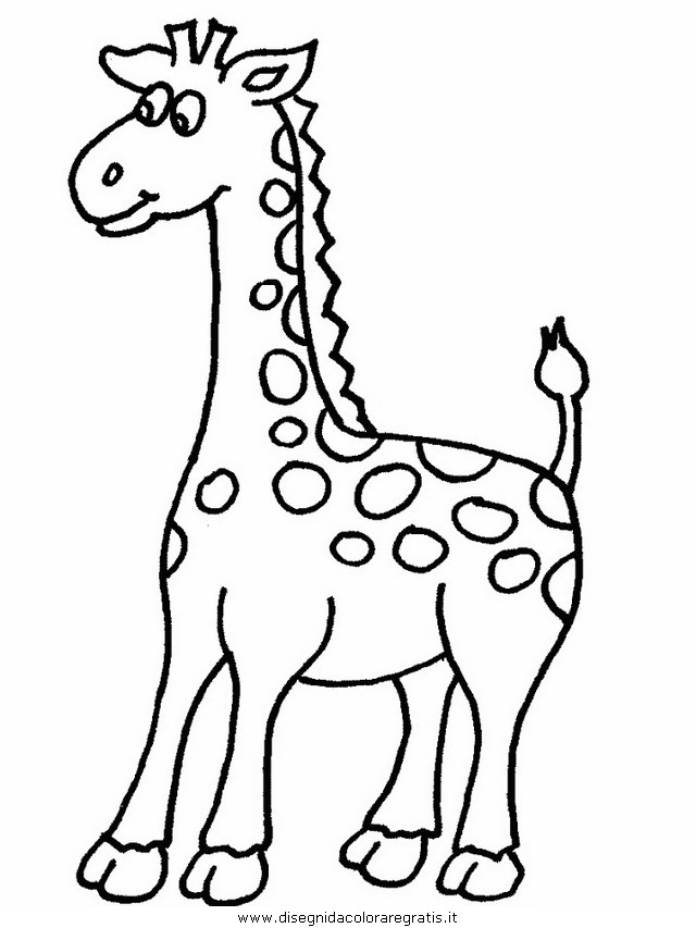 animali/giraffe/giraffa_13.JPG