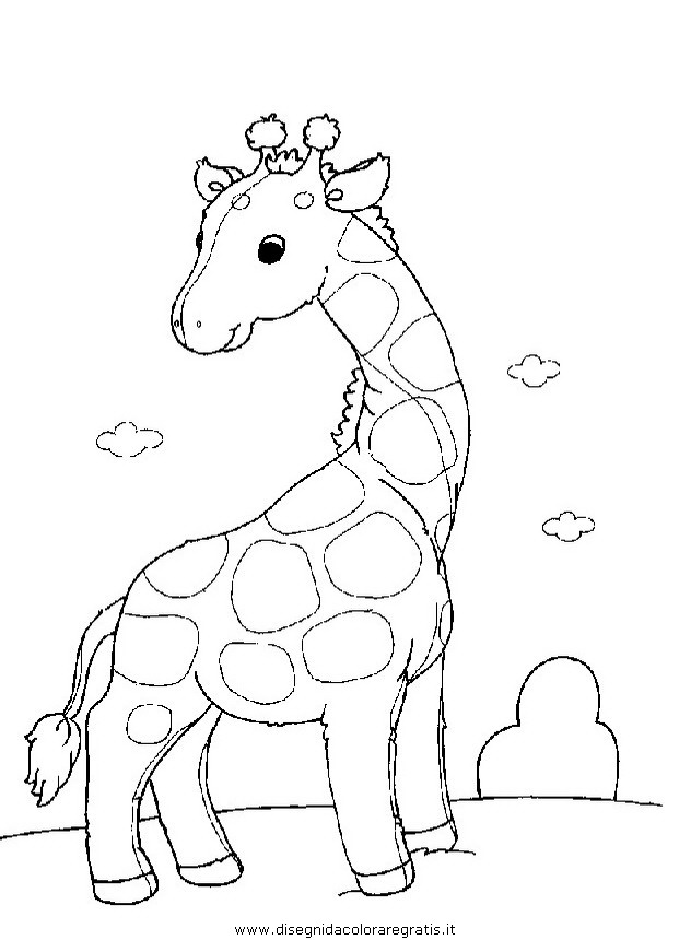 animali/giraffe/giraffa_26.JPG