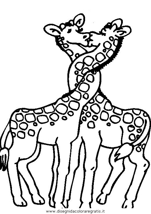 animali/giraffe/giraffa_32.JPG