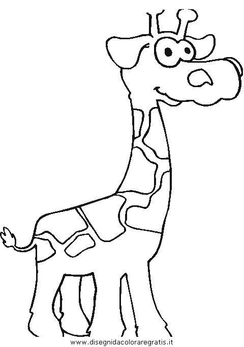 animali/giraffe/giraffa_33.JPG