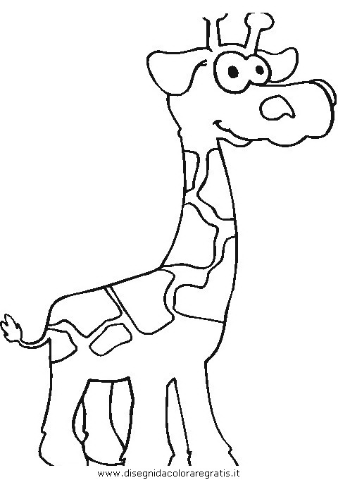 animali/giraffe/giraffa_33.JPG