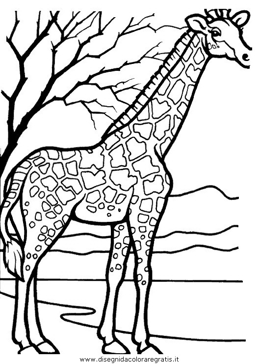 Disegno Giraffa 36 Animali Da Colorare