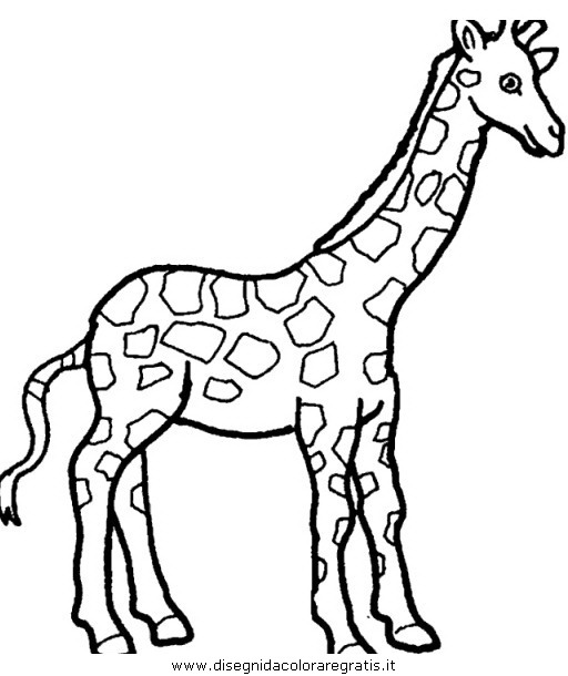 Disegno Giraffa 38 Animali Da Colorare